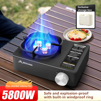 Camping Gas Stove