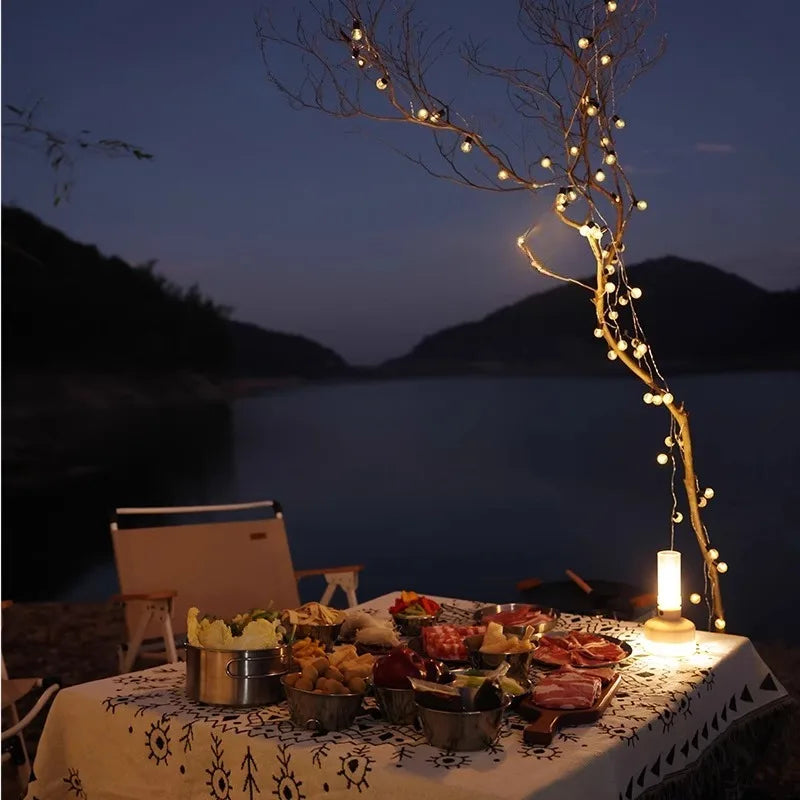 Outdoor camp lights