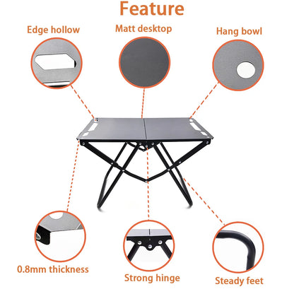 Portable  Picnic Table