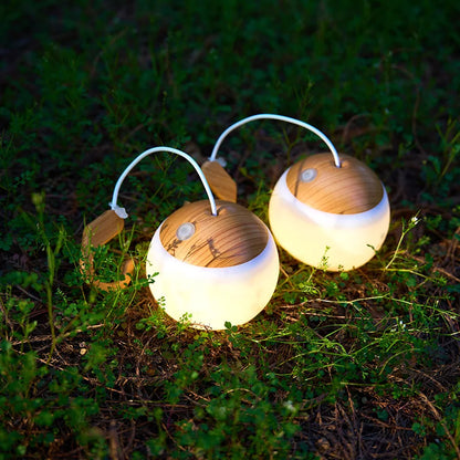 Outdoor USB Camping Light Hook type