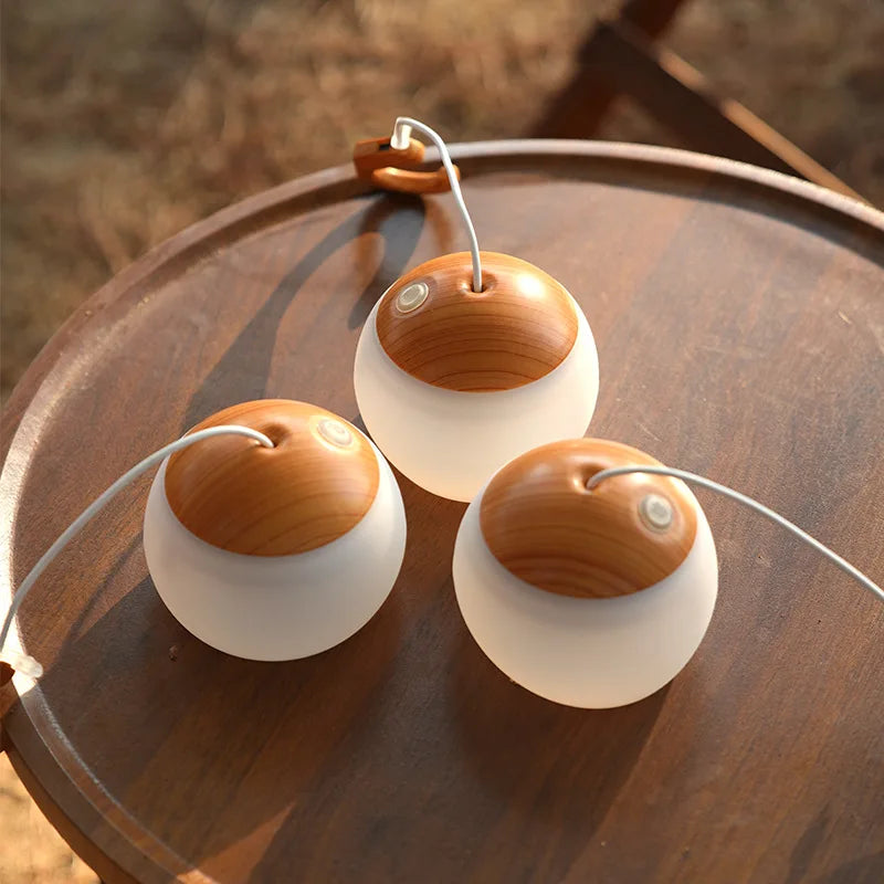 Outdoor USB Camping Light Hook type