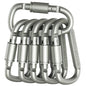 4-6PCS Carabiner Set